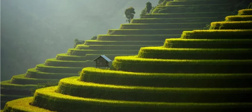 vietnam motorcycle tour view terrace fields beautiful