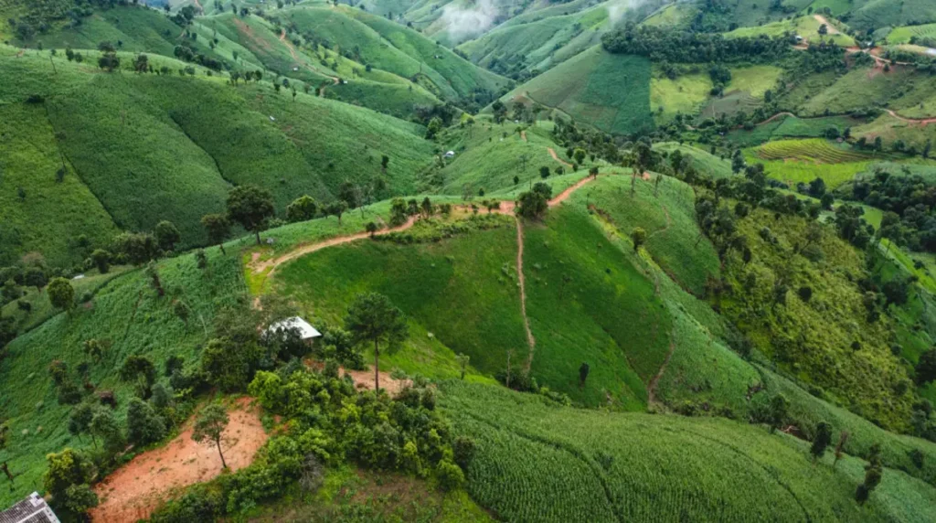 10 day north thailand motorcycle tour view