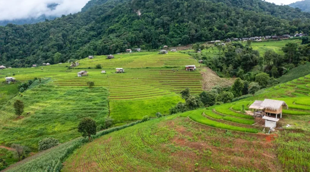 10 day north thailand motorcycle tour rice terrace view