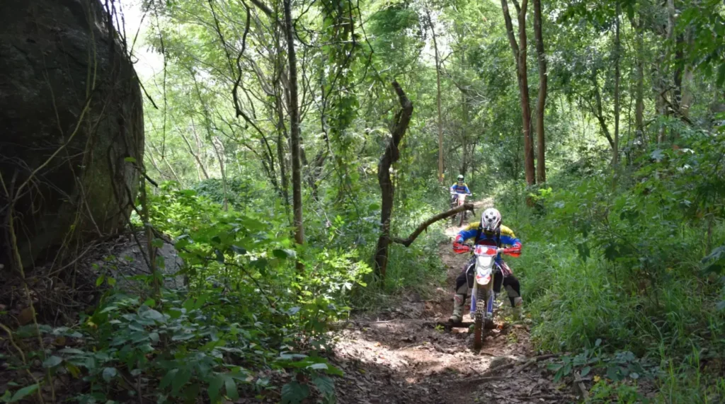 Motorcycle Day Tour Thailand – Pattaya Jungle Enduro Adventure jungle trail