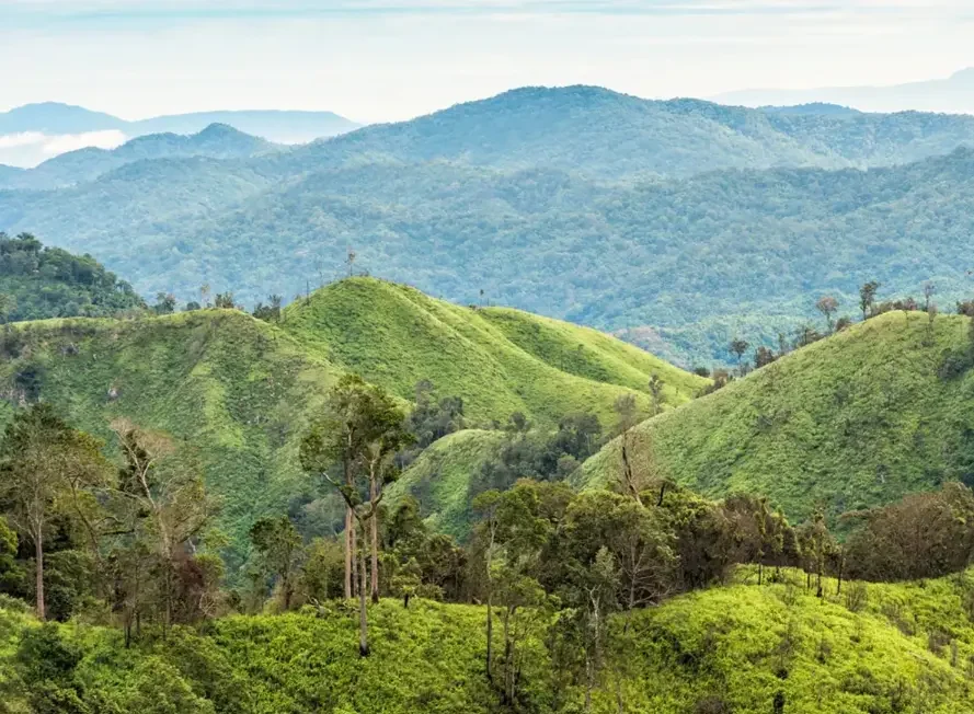 Motorcycle Day Tour Thailand – Pattaya Jungle Enduro Adventure view hills