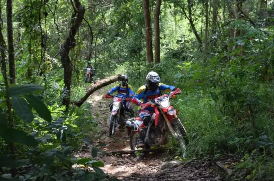Motorcycle Day Tour Thailand – Pattaya Jungle Enduro Adventure jungle